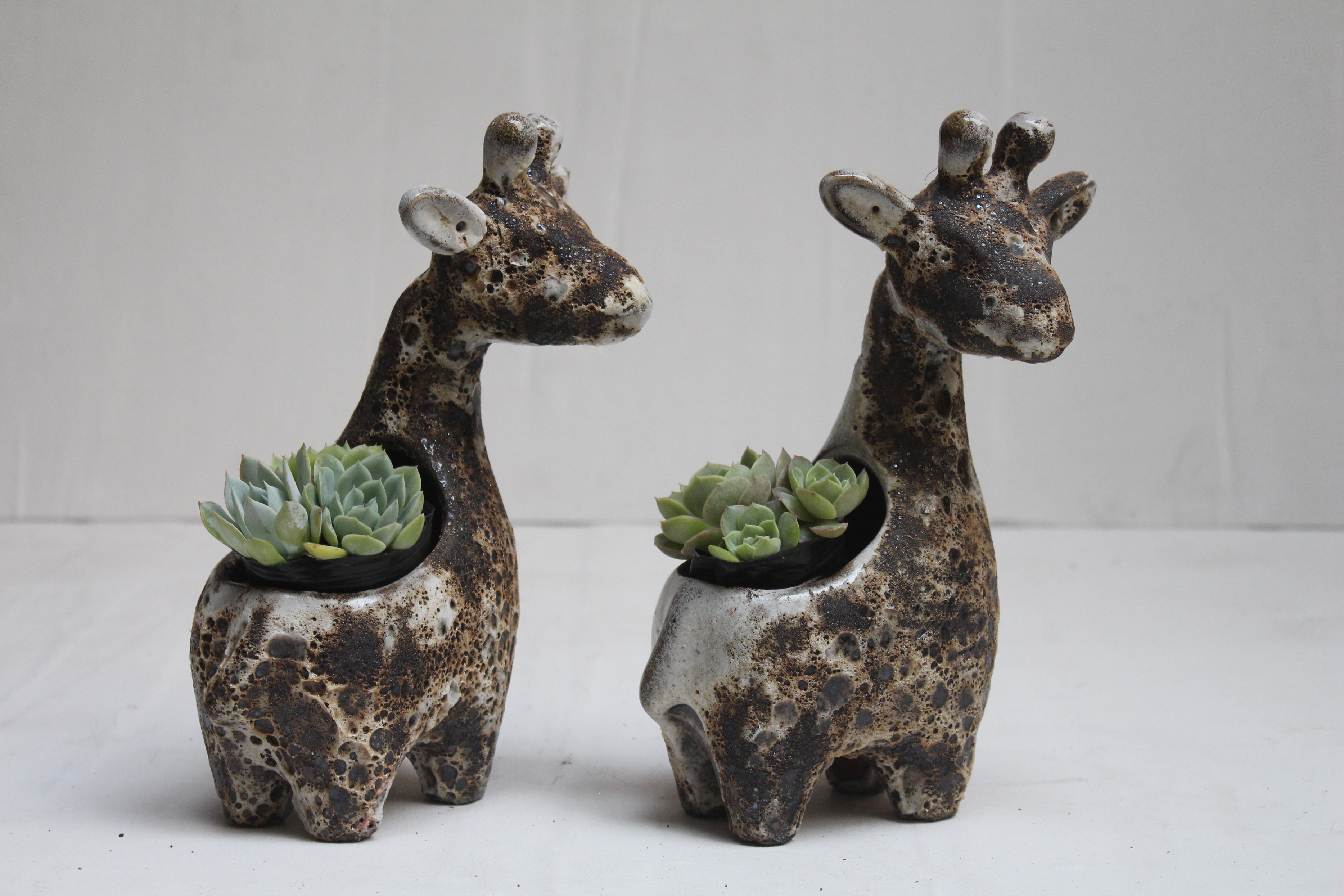 Chậu gốm và cây cảnh