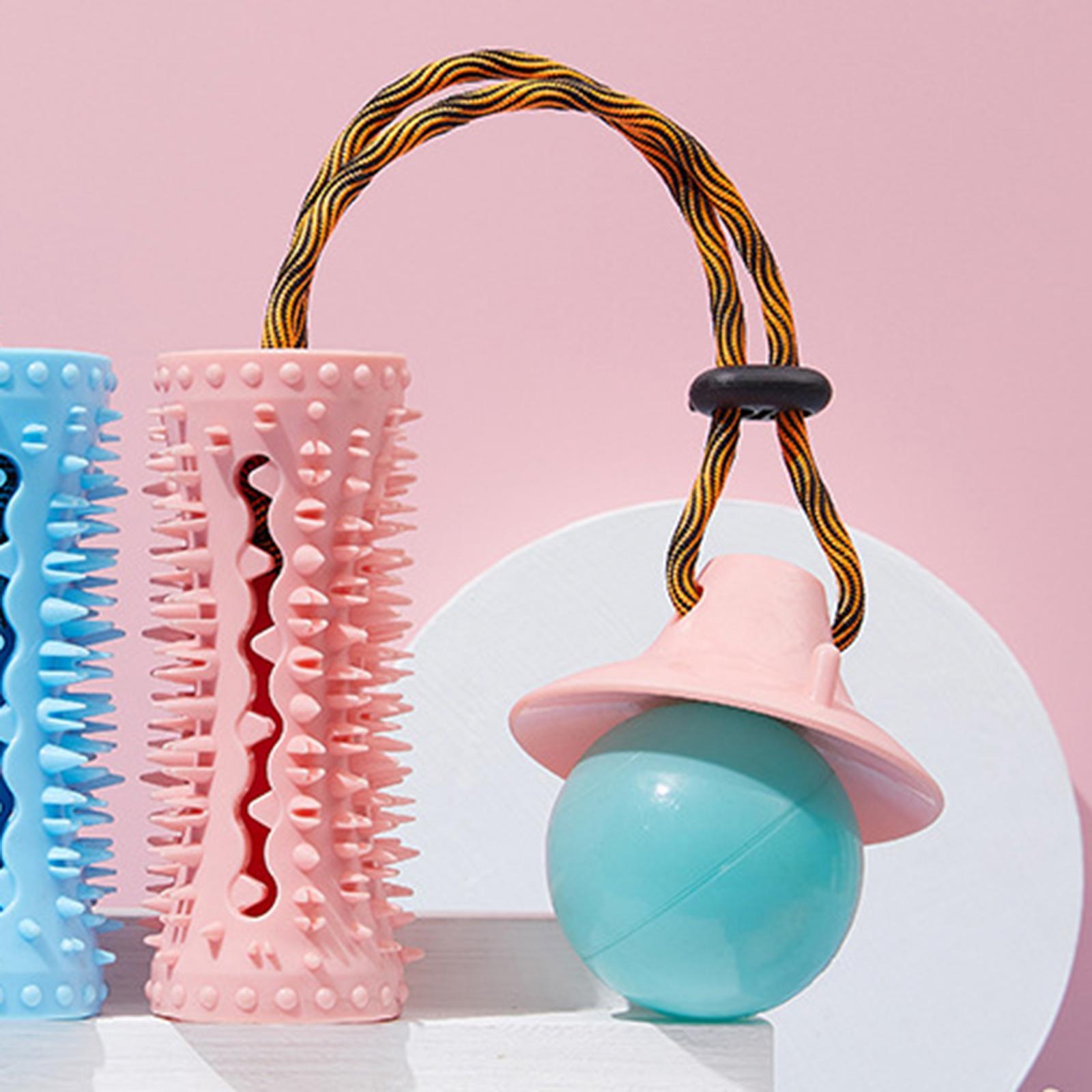 Multifunctional Dog Chew Toy Pet Molar for Self Puppy Chewing