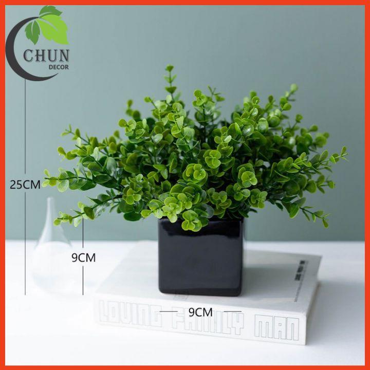 Chậu Lá Kim Tiền Nhân Tạo Xanh Mướt Cao 25-28cm Trang Tí Nhà Cửa, Cửa Hàng, Văn Phòng, Lớp Học
