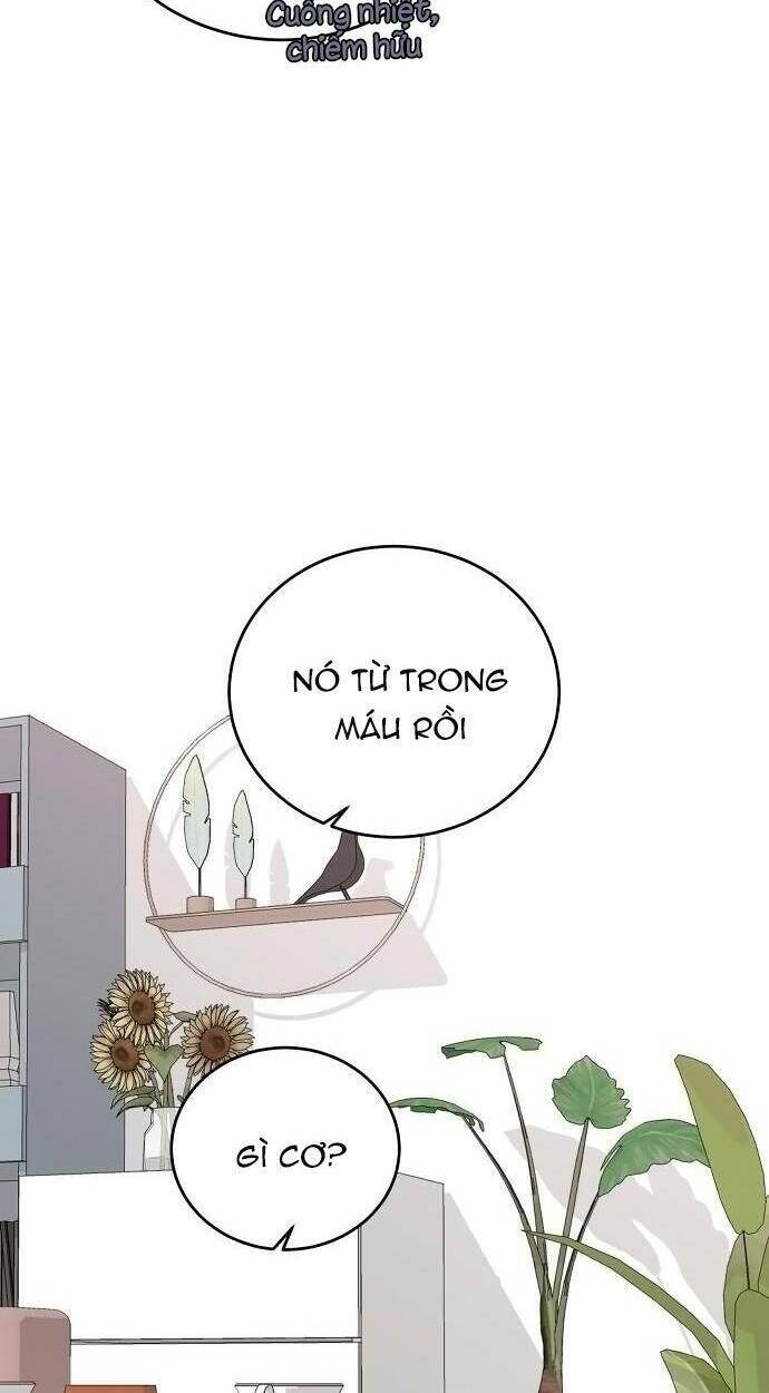 ba người anh trai cực phẩm của tôi chapter 57 61