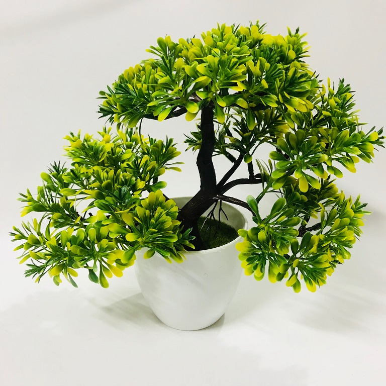 Chậu Bonsai nhựa 3 nhánh dáng Xòe các màu