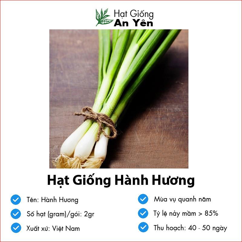 Hạt giống Hành Hương, nhanh thu hoạch, dễ trồng, nảy mầm và năng suất cao