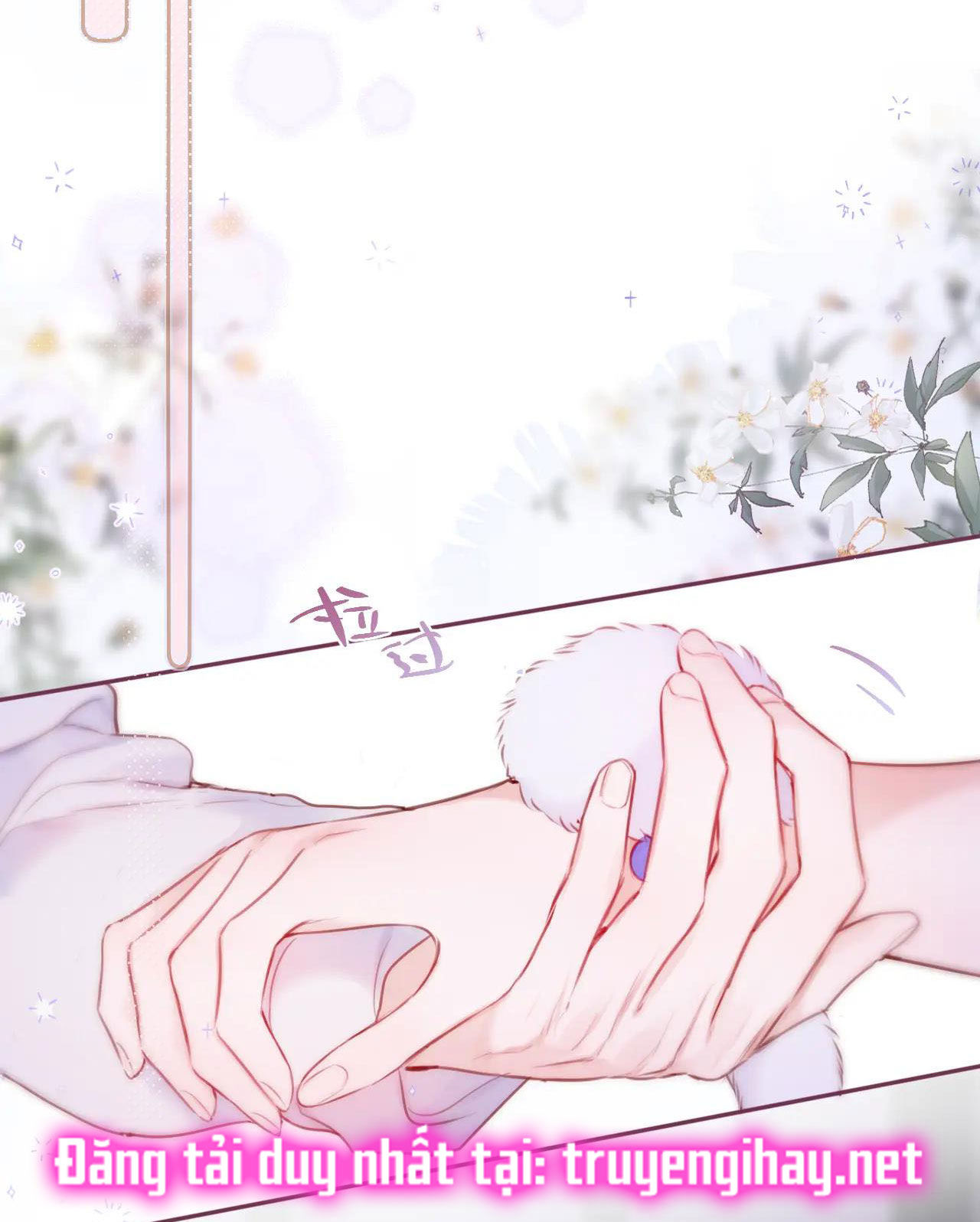 cạm bẫy của hồ ly chapter 36.2 6