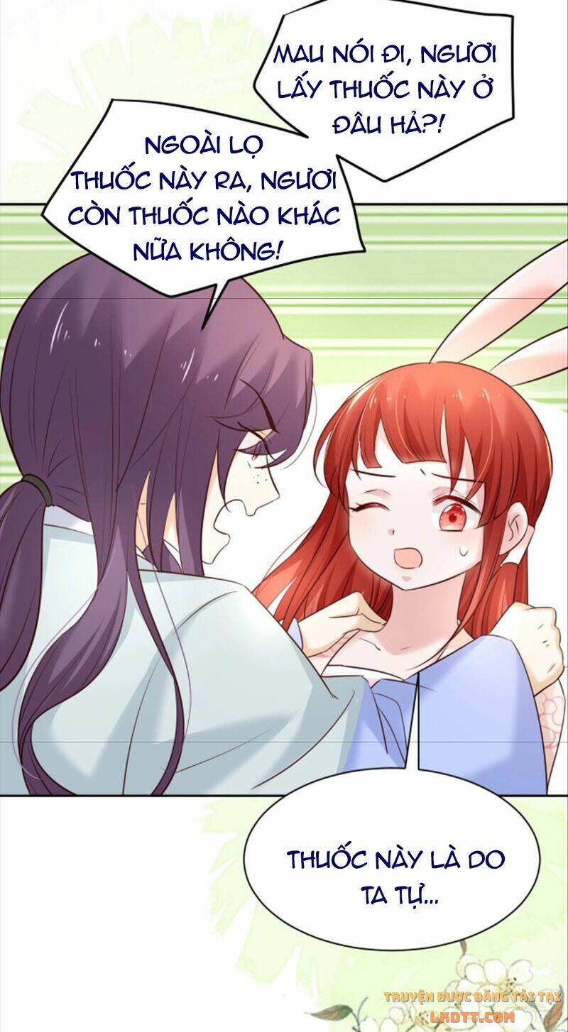 hắc hóa nam chính trực tuyến nuôi thỏ chapter 47 19