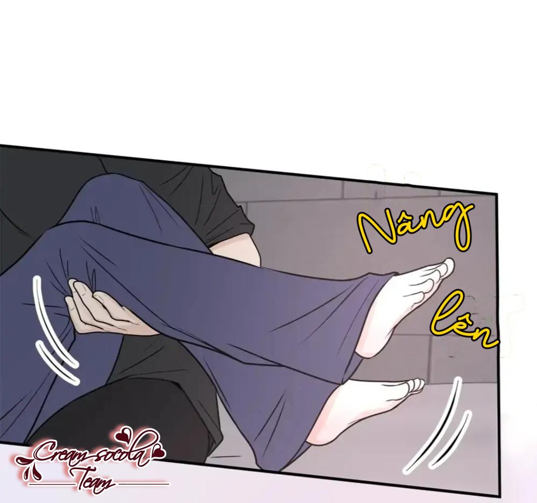 hạnh phúc trọn vẹn chapter 11 13