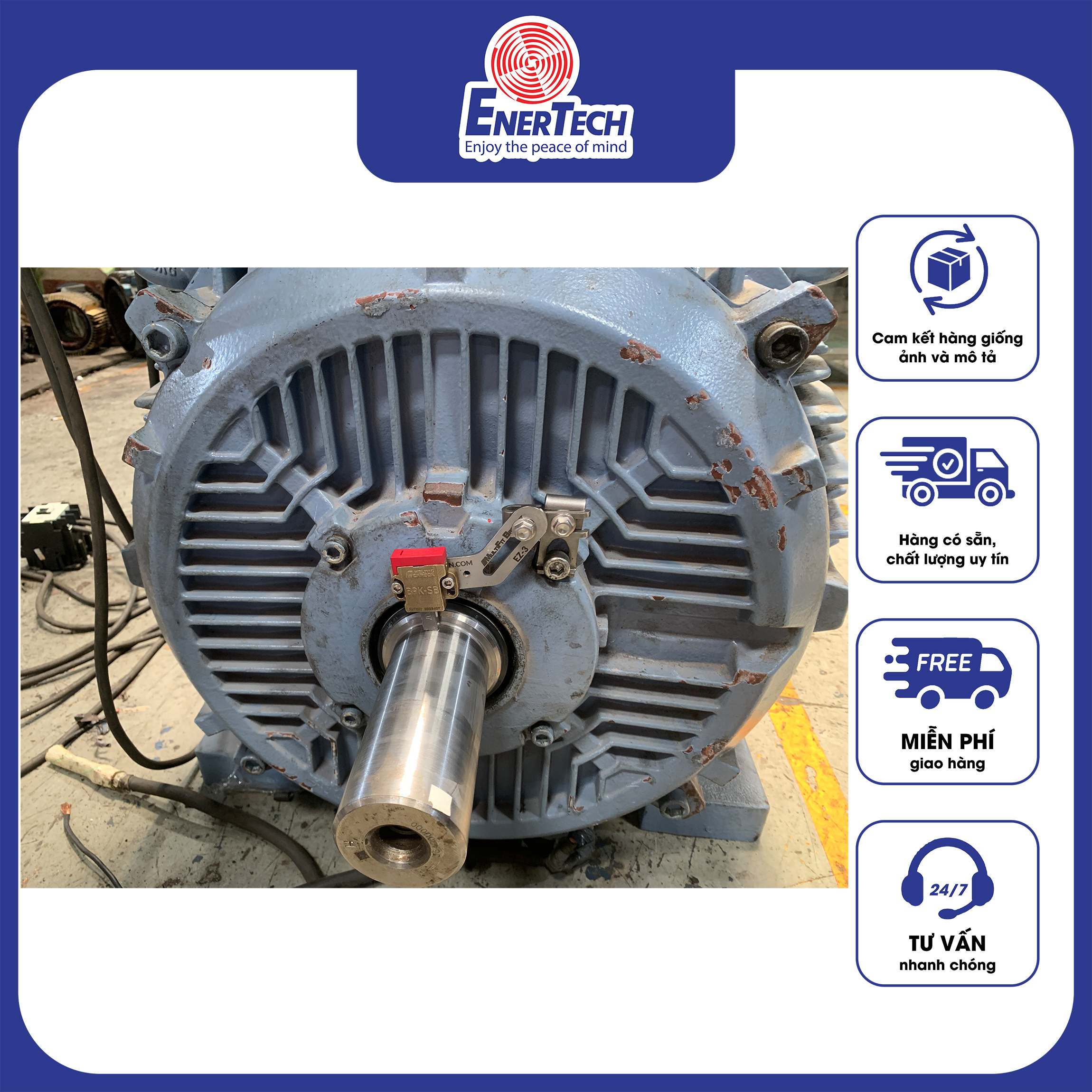 Bộ bảo vệ vòng bi BPK Helwig Carbon, chổi than nối đất, bộ bảo vệ bạc đạn động cơ điện - Hàng chính hãng