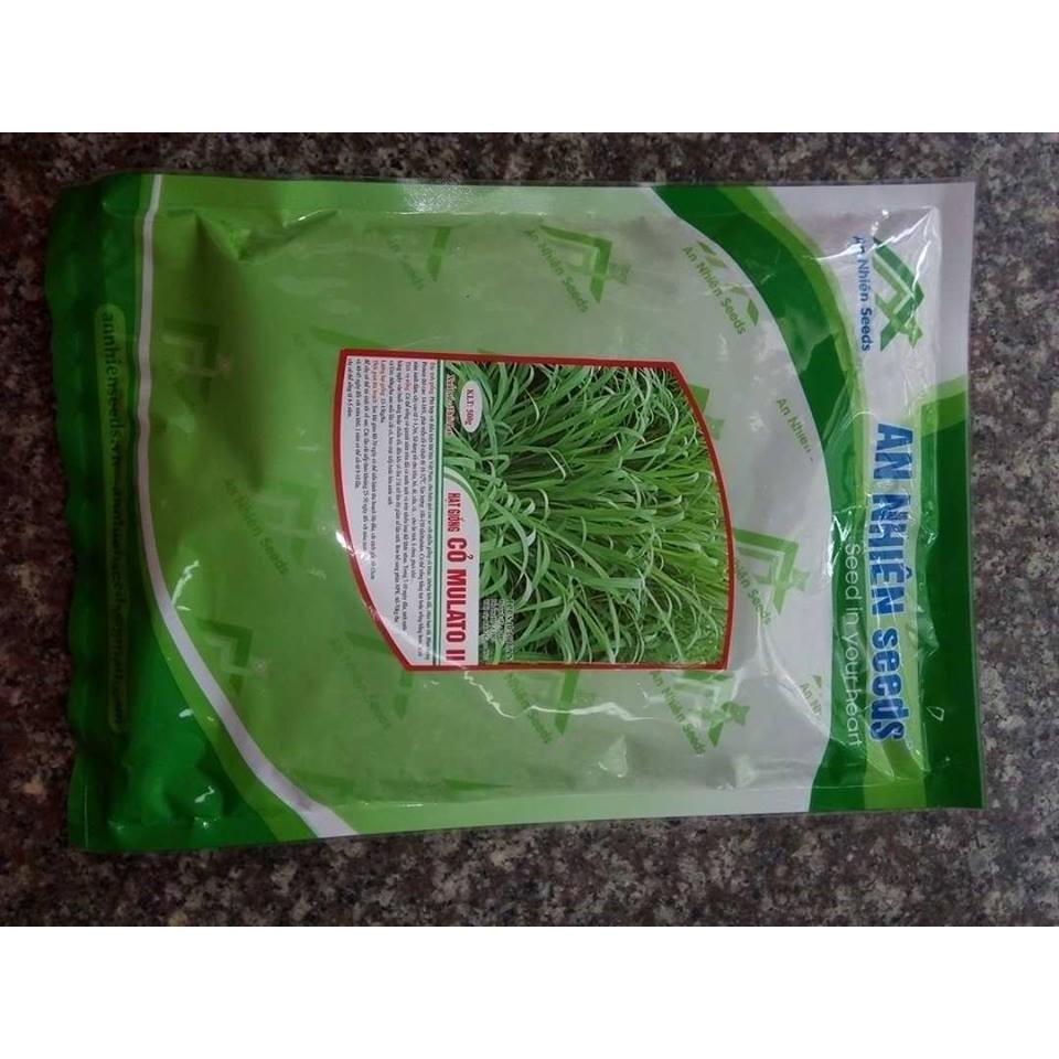 Hạt giống cỏ MULATO II 100g - cỏ chịu lạnh chịu hạn tốt, tái sinh lâu năm