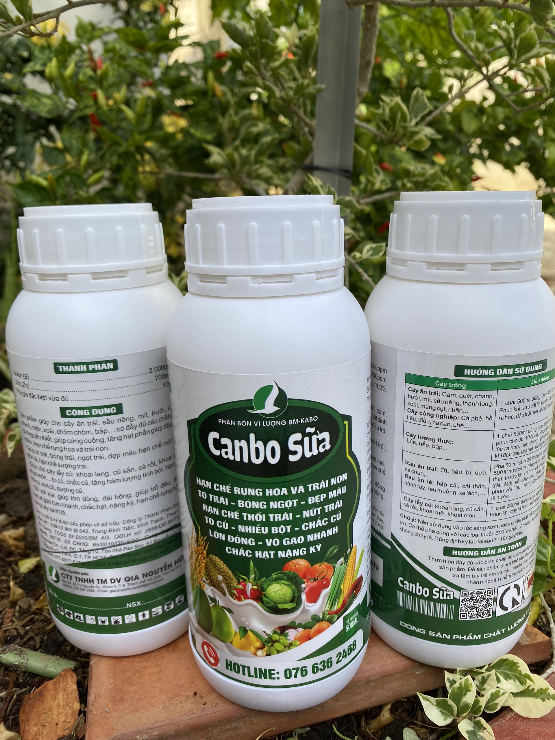 CANBO SỮA chai 500ml - Hạn chế rụng hoa và trái non - Chống thối trái và nứt trái