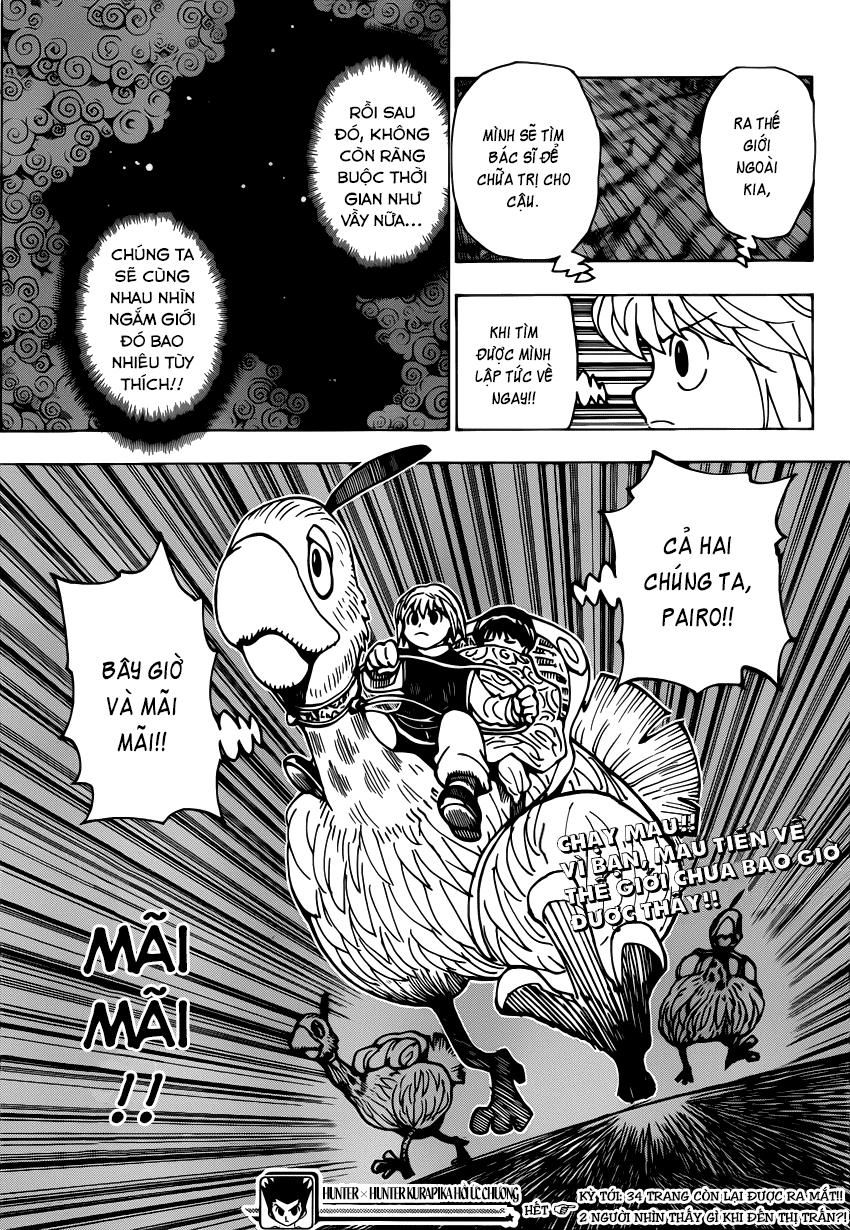 Hunter X Hunter Chapter 231 - Trang 31