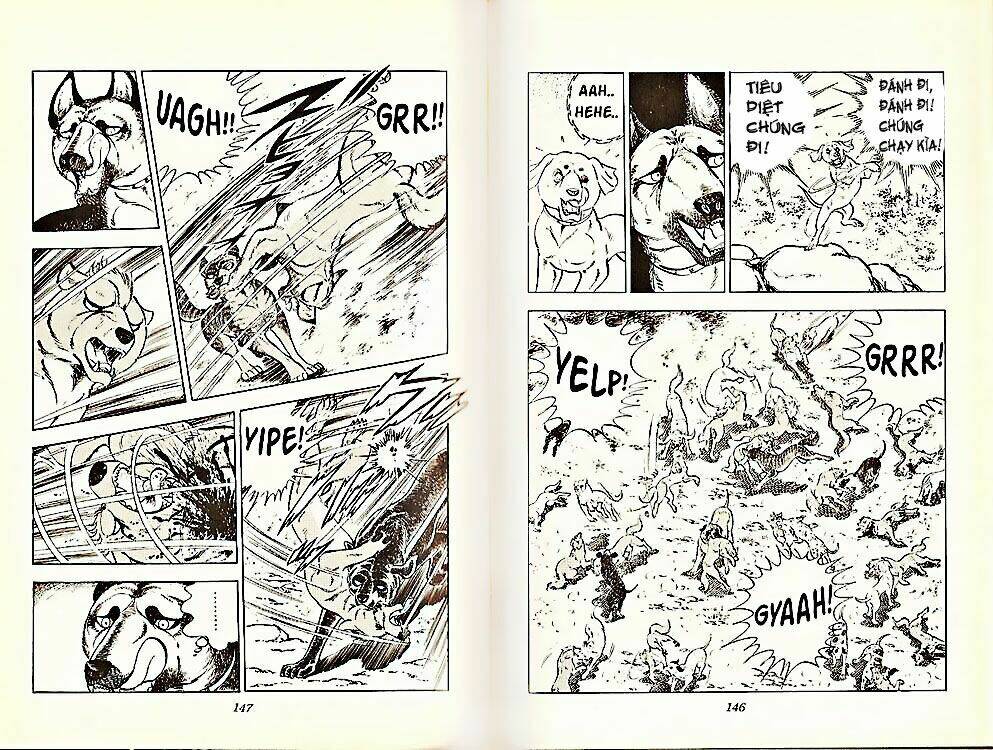 chú chó có nghĩa - ginga nagareboshi gin chapter 21 3