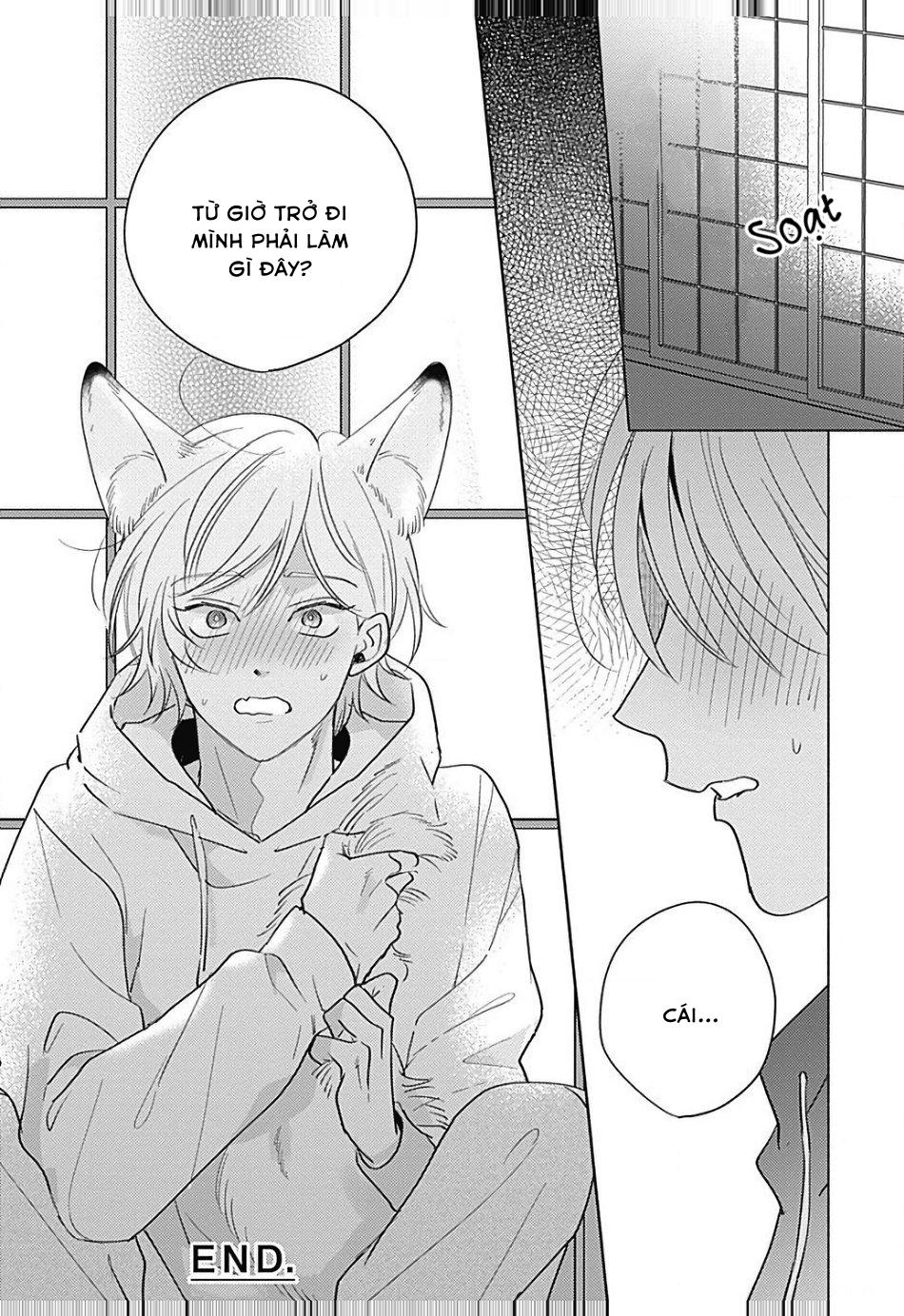 chiếm hữu bởi linh hồn cáo chapter 1 36