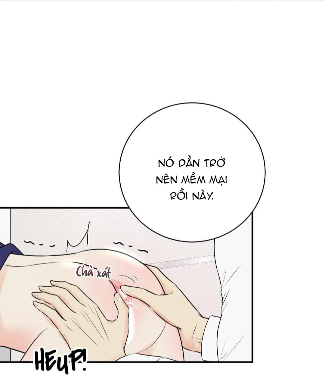 hạnh phúc trọn vẹn chapter 21 51