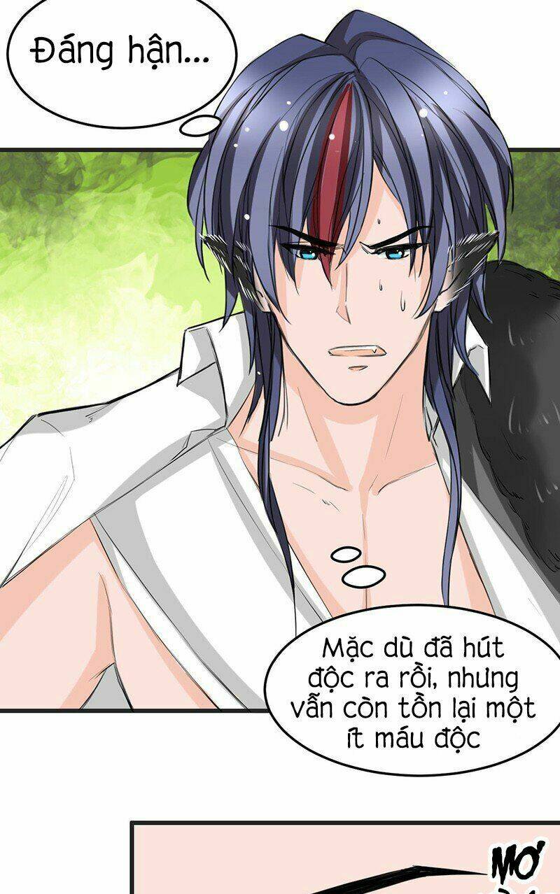 thú vương chuyên sủng chapter 11 8