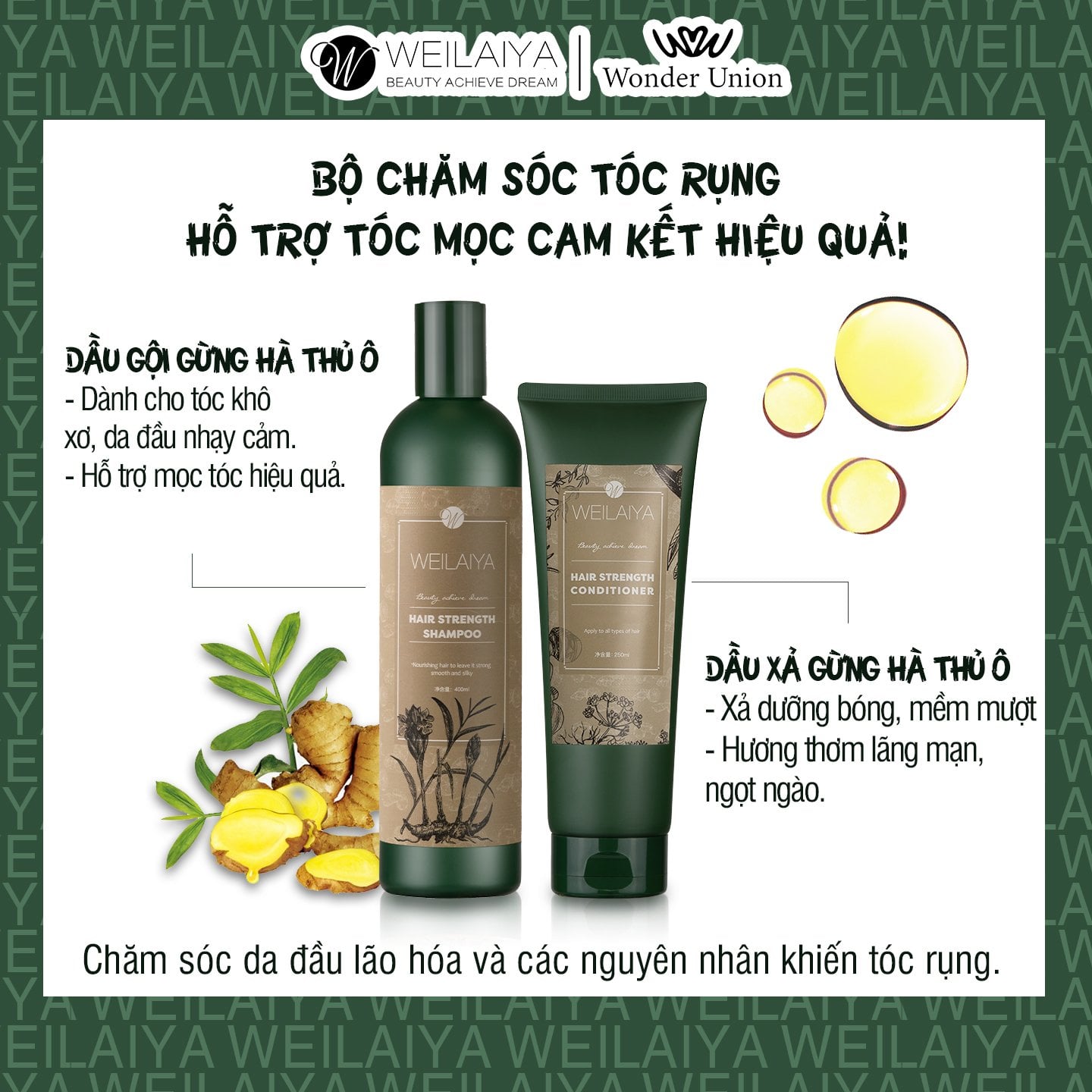 Dầu Xả WEILAIYA Gừng Hà Thủ Ô , Ngăn Rụng Tóc, Kích Mọc Tóc 250ml