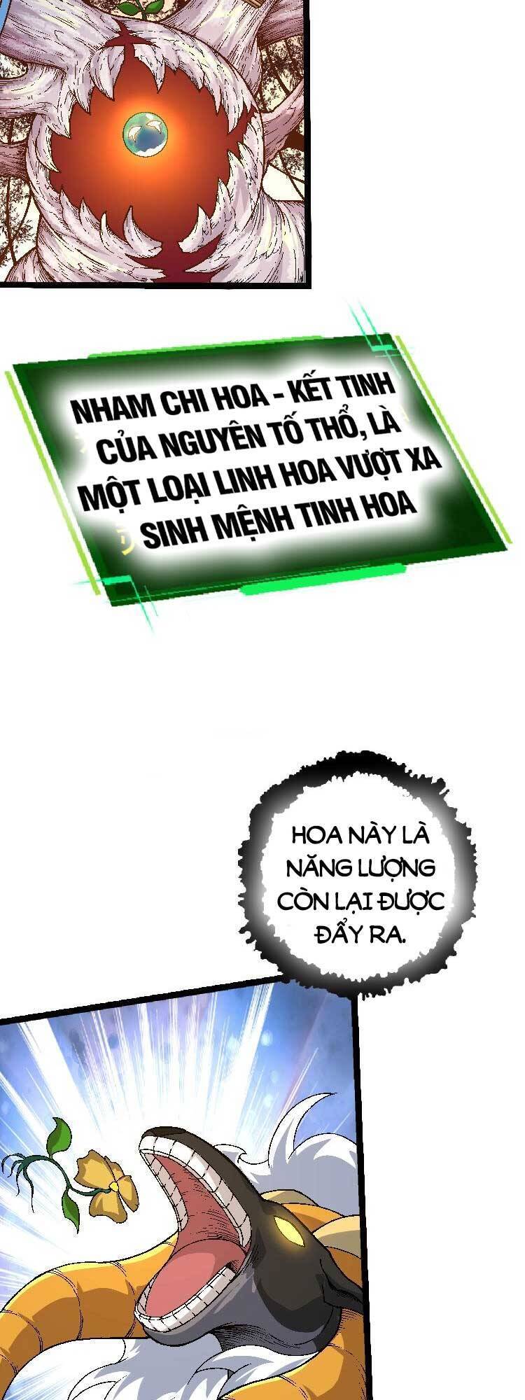 Chuyển Sinh Thành Liễu Đột Biến chapter 0 29