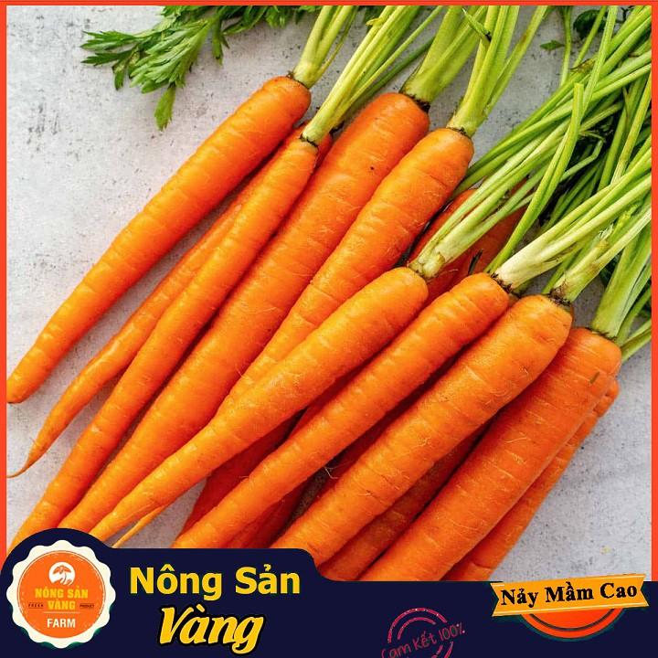 Hạt giống Cà Rốt Thường F1