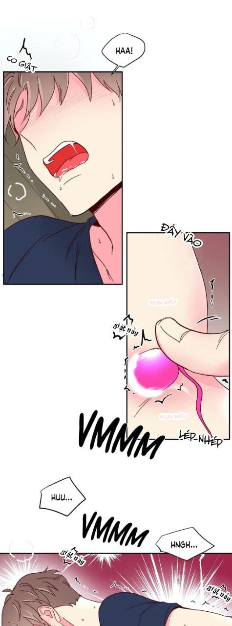 món tráng miệng của sếp tổng chapter 53 11