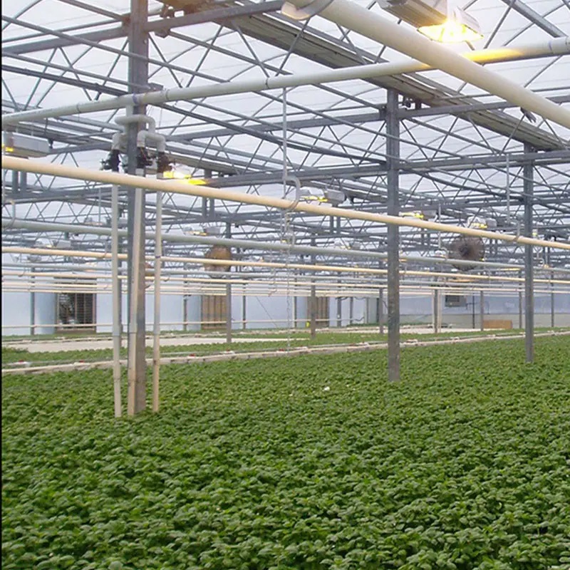 Đèn Led cao cấp trồng cây trong nhà dùng cho nông nghiệp Terino D240 (240W, đèn toàn dải quang phổ cho cây phát triển) - Hàng chính hãng