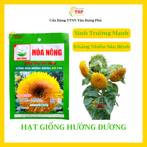 Hạt giống Hoa Hướng Dương Kép Lùn | Hạt giống | gói 10 hạt