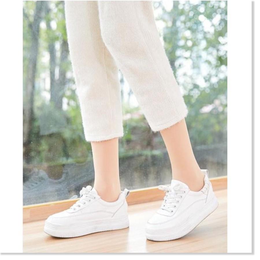 Tất Lông Cừu Giữ Ấm Cho Mùa Đông - Ankle Socks