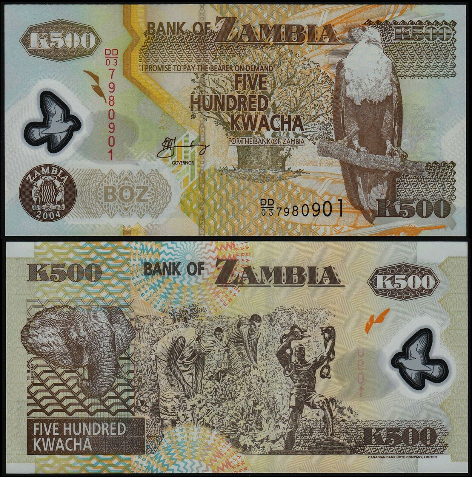 Tiền polymer châu Phi, 500 kwacha Cộng hòa Zambia sưu tầm