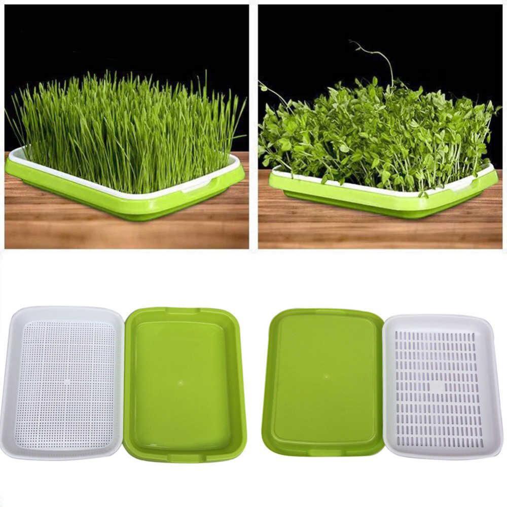 Bộ 10 Khay trồng giá đỗ, ươm rau mầm sạch an toàn, diện dụng