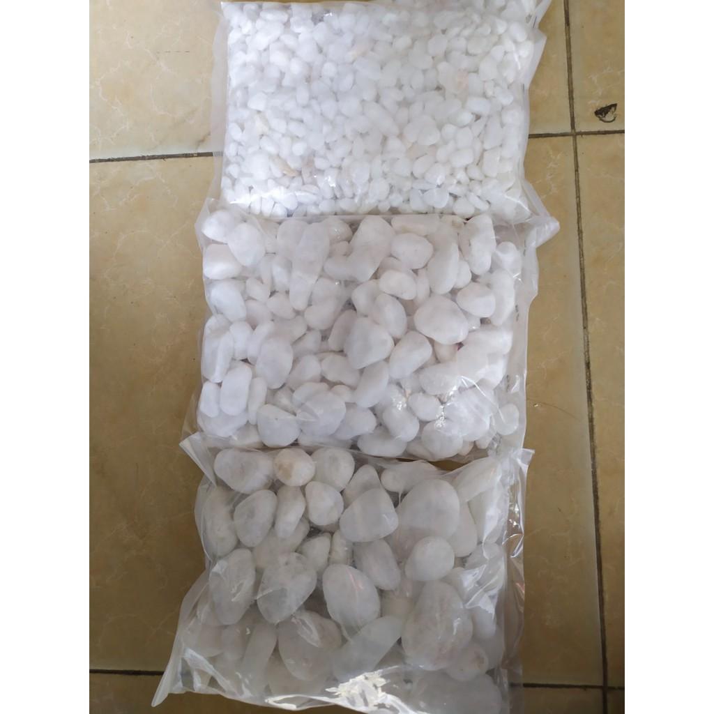 Bịch Sỏi Trắng Viên Vừa Trang Trí Hồ Cá - Phụ Kiện Bể Cá- 1Kg