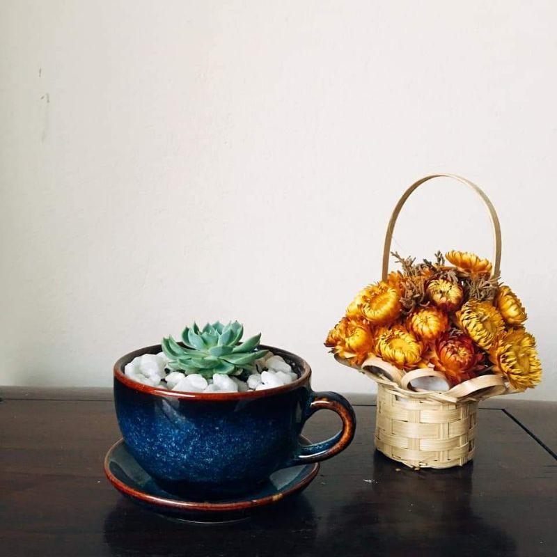Bộ cốc tách uống cafe, gồm cốc, đĩa kê và thìa - Men hỏa biến cao cấp