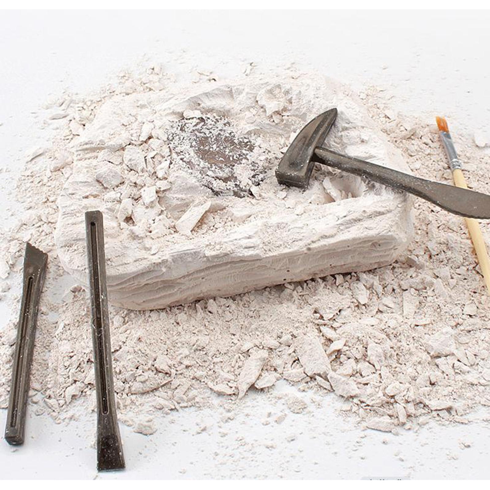 Dinosaur Excavation Kit Archaeology Discovery Kit for Toddler