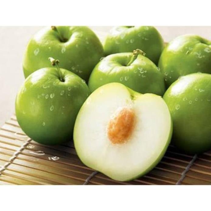 CÂY GIỐNG TÁO ĐẠI SIÊU NGON SIÊU QUẢ DÒNG QUẢ SỚM- CAM KÊT GIỐNG CHUẨN F1