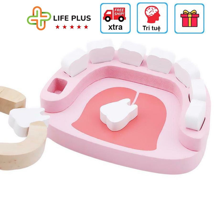 Bộ Đồ Chơi Bác Sỹ Gỗ Đóng Vai Bác Sĩ Nha Khoa Cho Bé 20 Chi Tiết Đẹp, Giống Như Thật - Đồ Chơi Gỗ Cho Bé Trai, Bé Gái.