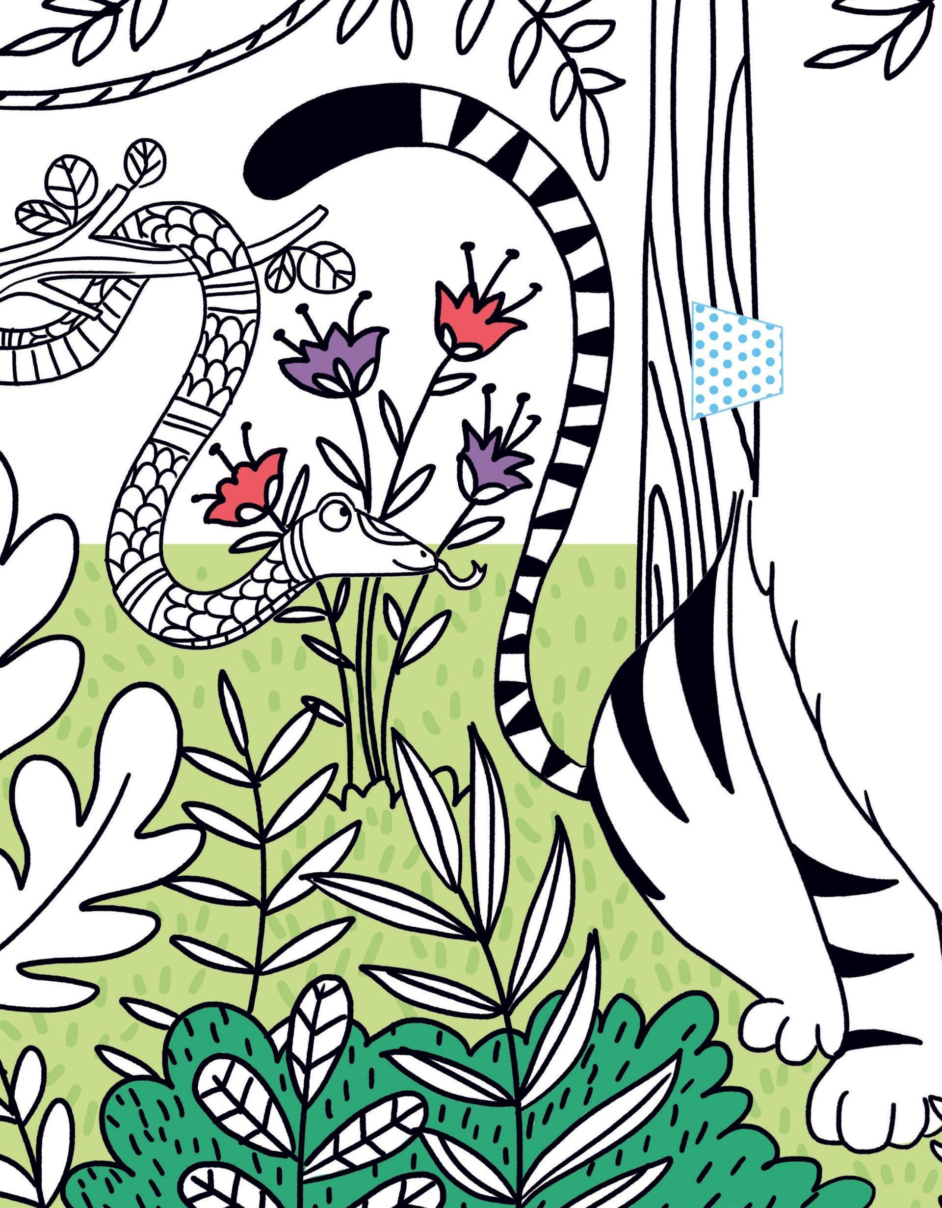 Sách ngoại văn: Colour And Pop Up - Animals