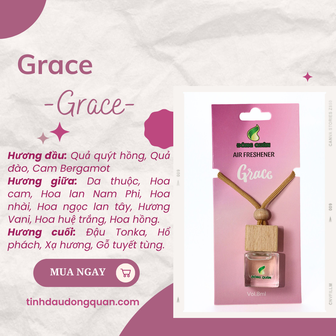Tinh Dầu Treo Xe Ô Tô, Phòng Ngủ, Nhà Vệ Sinh, Tủ Quần Áo, Tủ Giầy, Bỏ Cốp Xe, Balo Giúp Làm Thơm, Thư Giãn, Khử Mùi Hôi