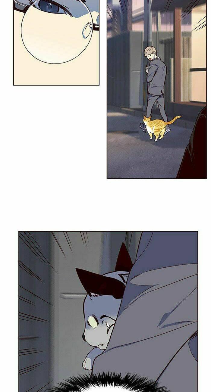 biến thân thành mèo chapter 10 38