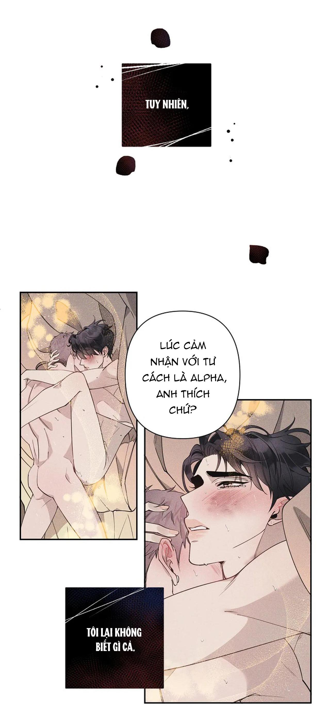 đêm dịu dàng chapter 16 19