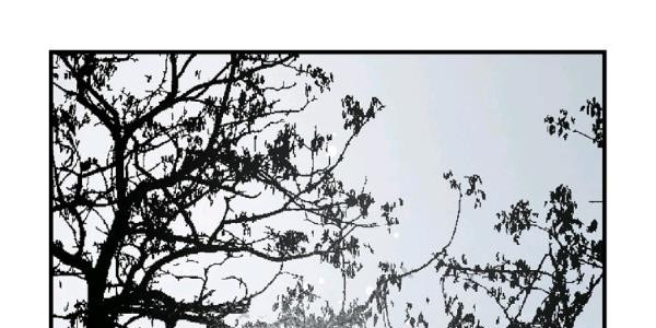 quý cô bí ẩn - secret lady chapter 35 222