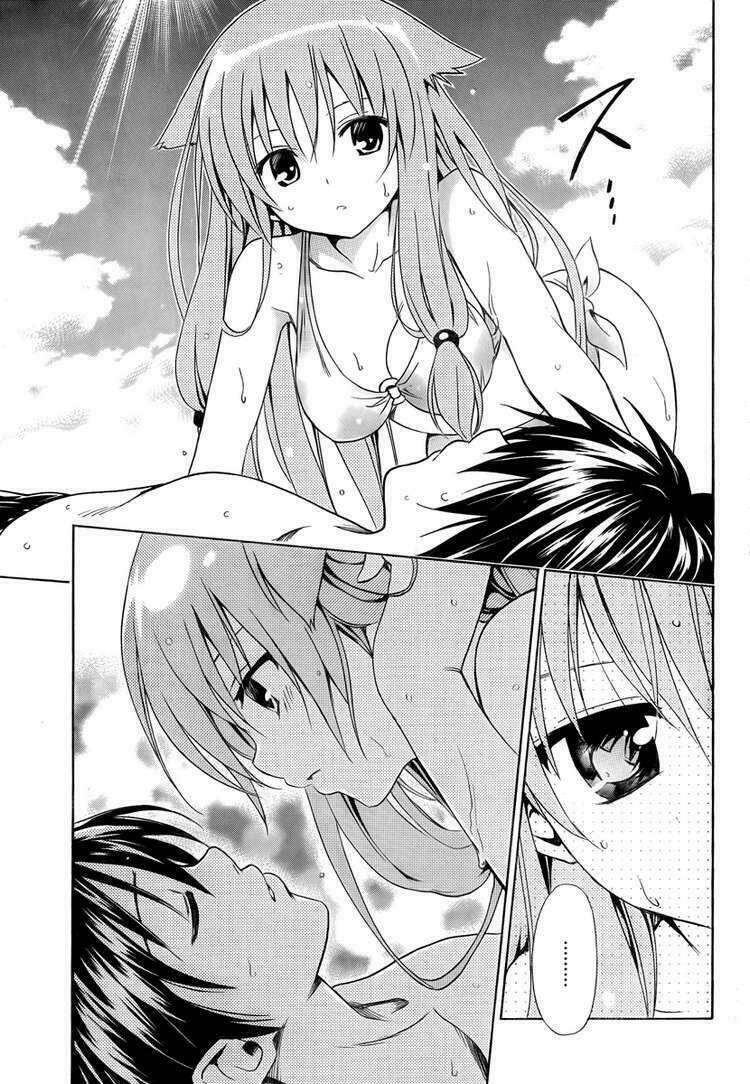 mayoi neko overrun! chapter 5 36