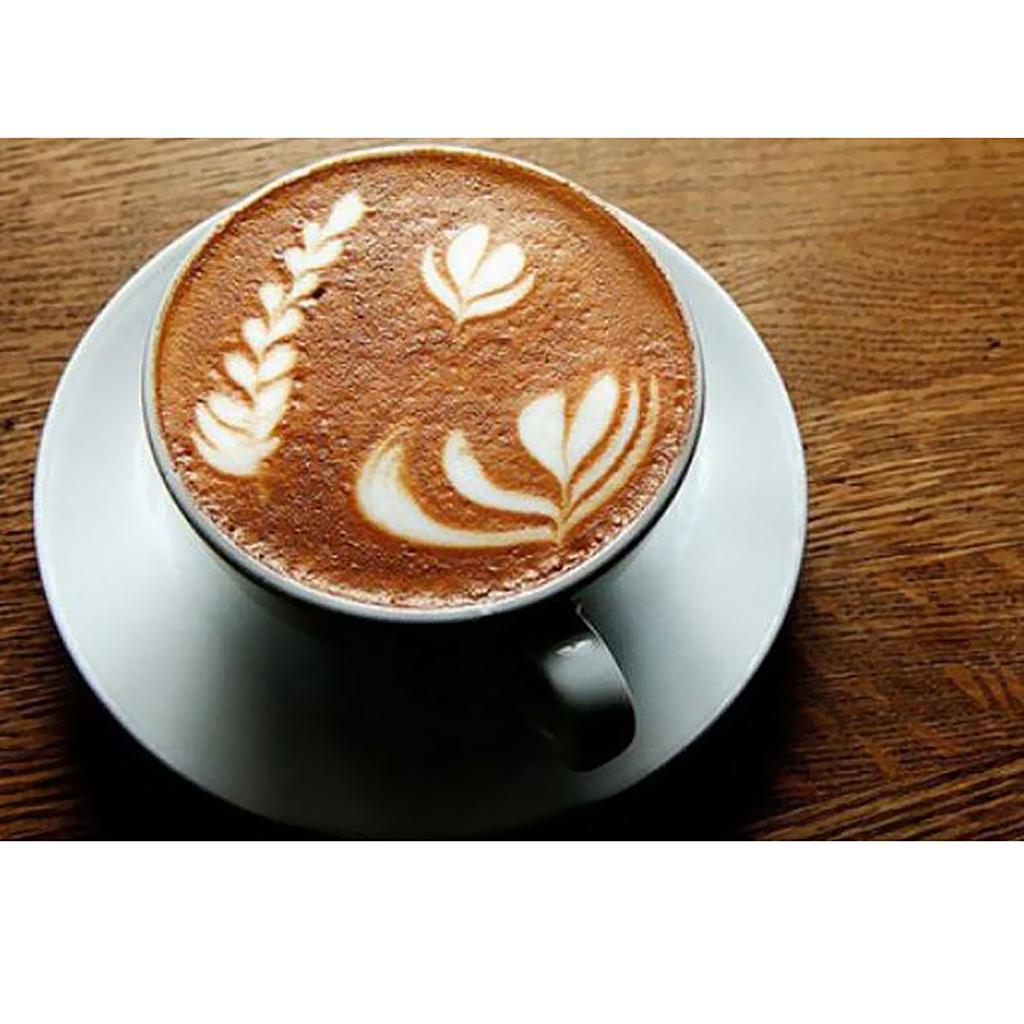2x Stainless Steel Coffee Mug Craft Latte Milk Frother with Lid 600ml