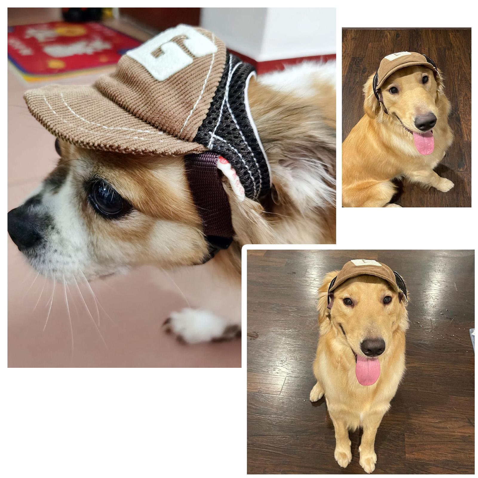 Mũ Bóng Chày Chữ G Có Thể Điều Chỉnh Cho Vật Nuôi