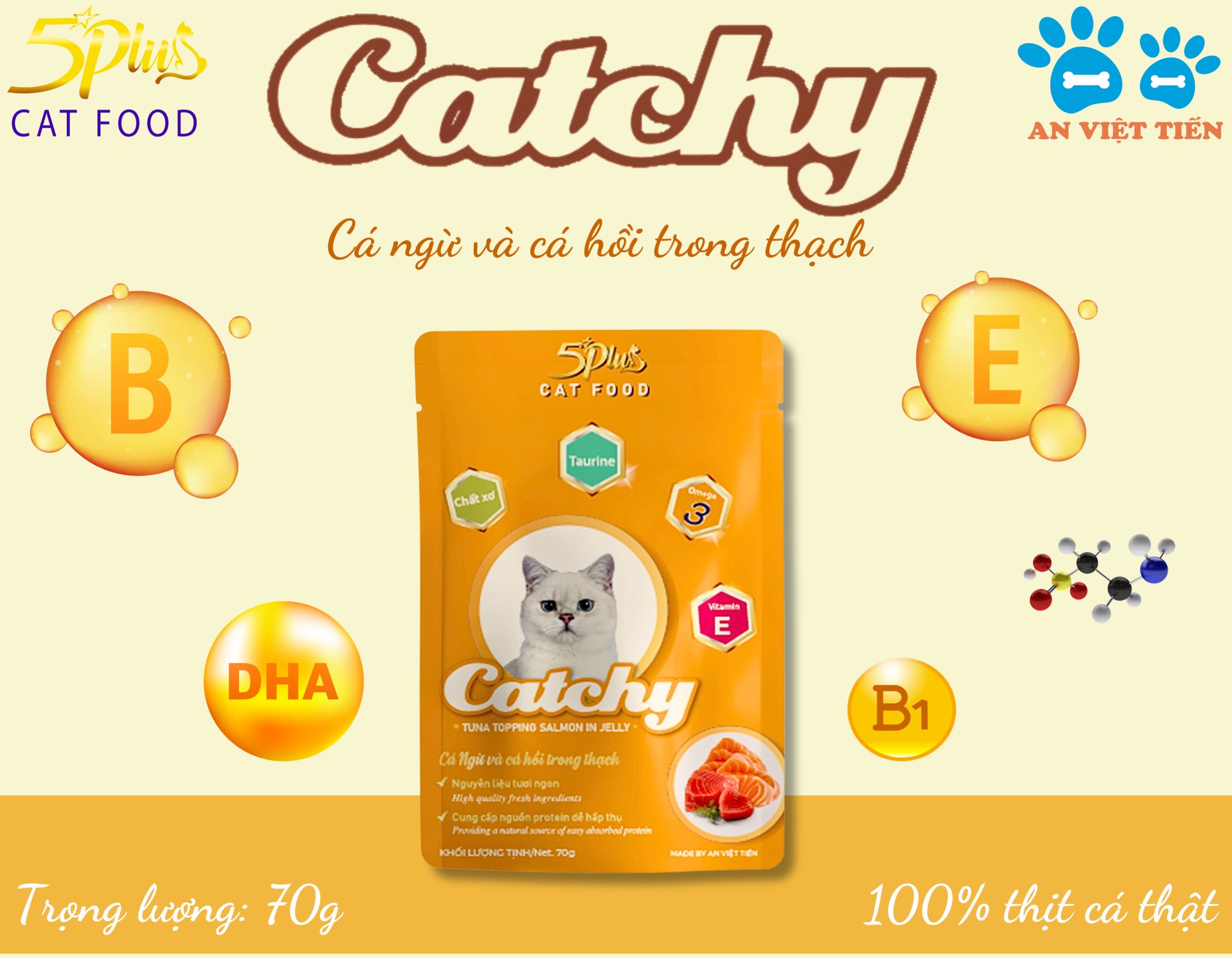 Pate cho mèo mọi lứa tuổi CATCHY 5PLUS CAT FOOD _ THÙNG 48 túi 70g mix vị