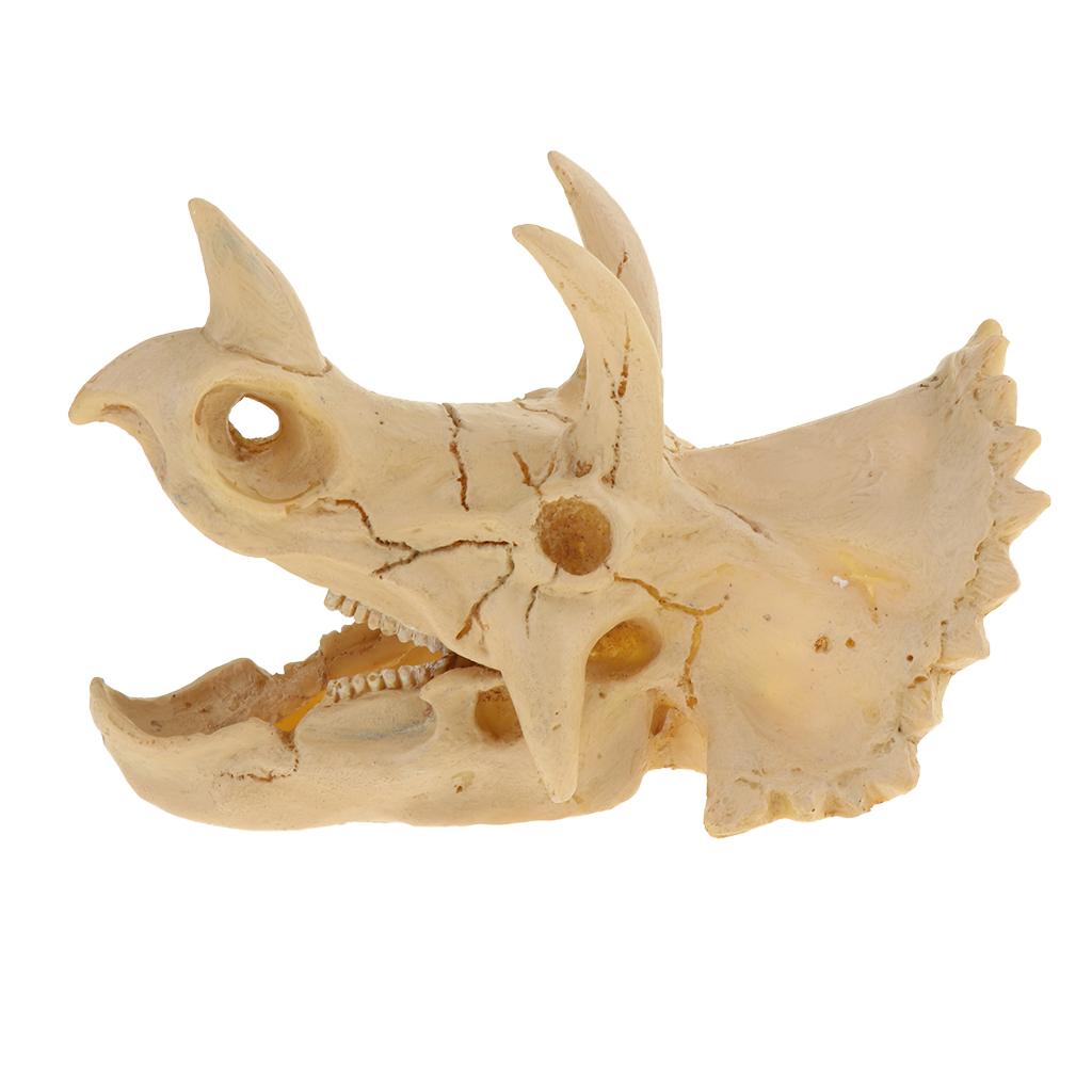 Reptile Vivarium Decoration Terrarium DIY Landscaping Skull Triceratops
