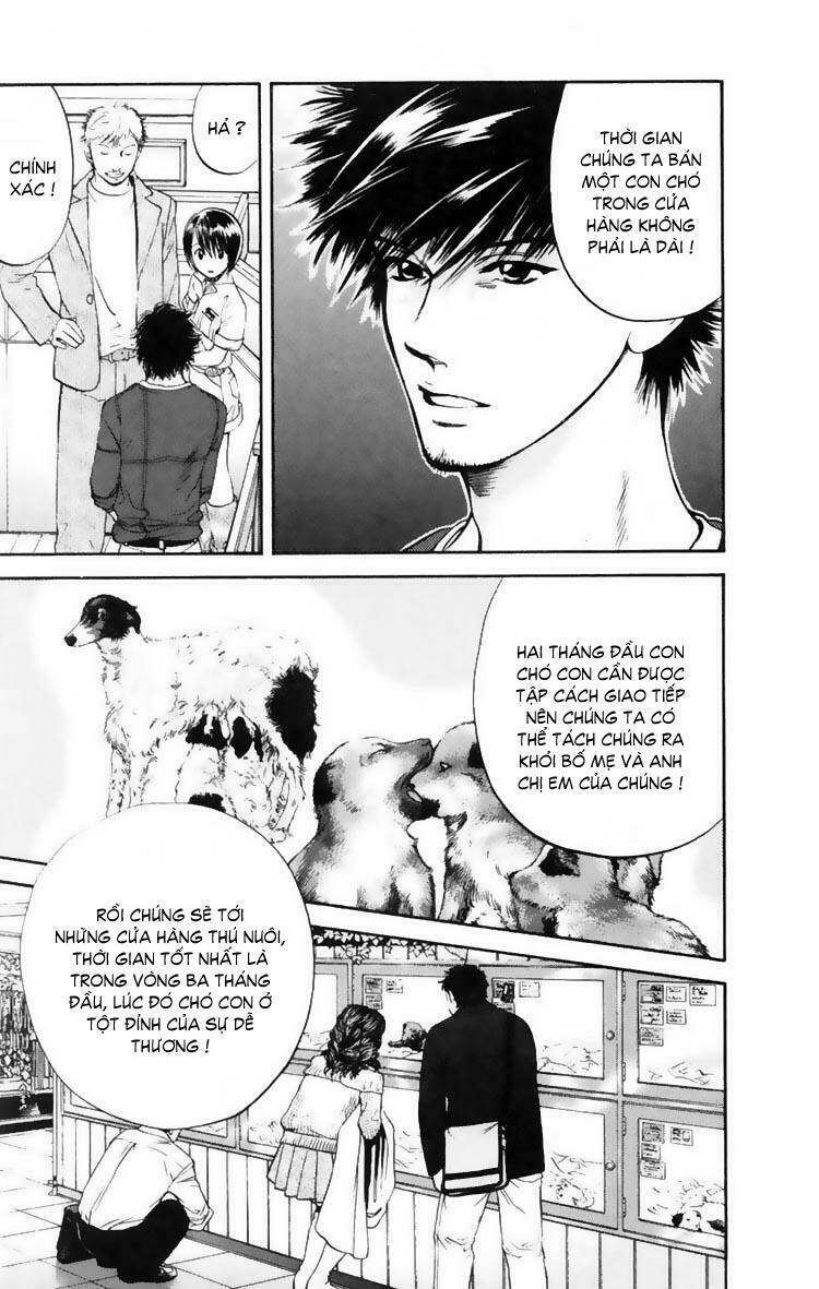 cô nàng yêu chó chapter 11 17