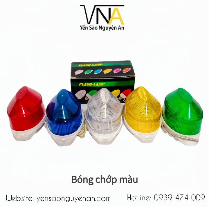 BÓNG CHỚP MÀU - CHỚP CÚ NHÀ YẾN