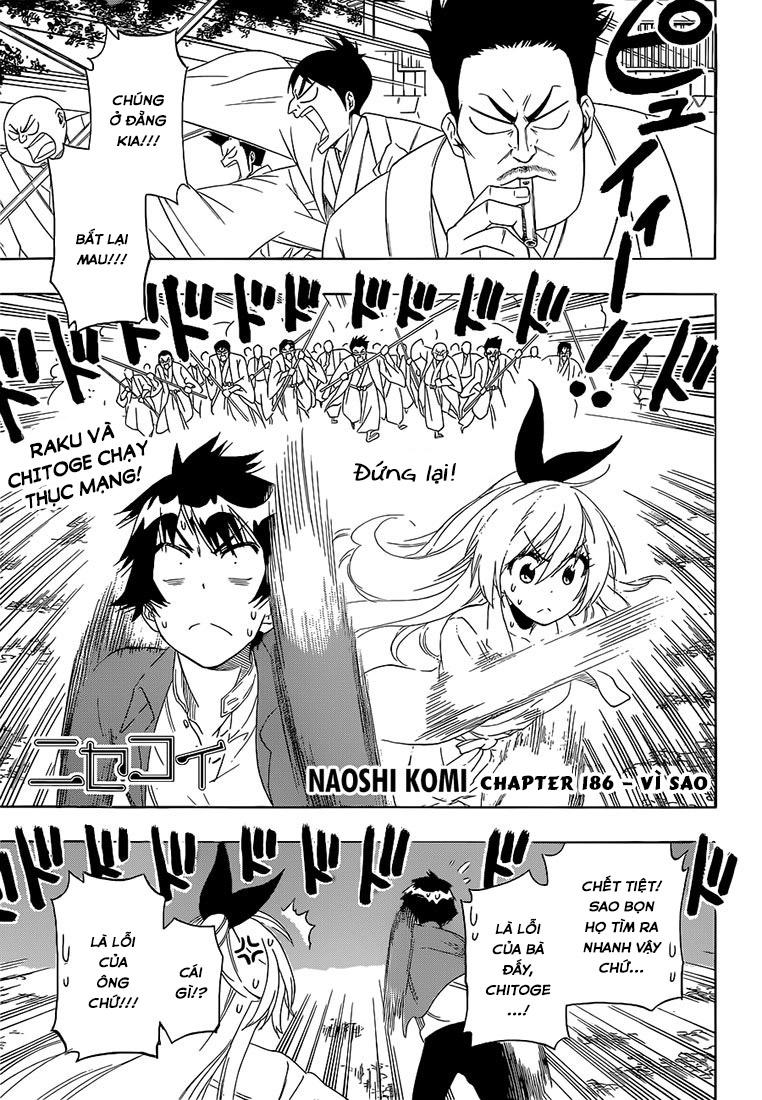 nisekoi - tình yêu giả tạo chapter 186 3