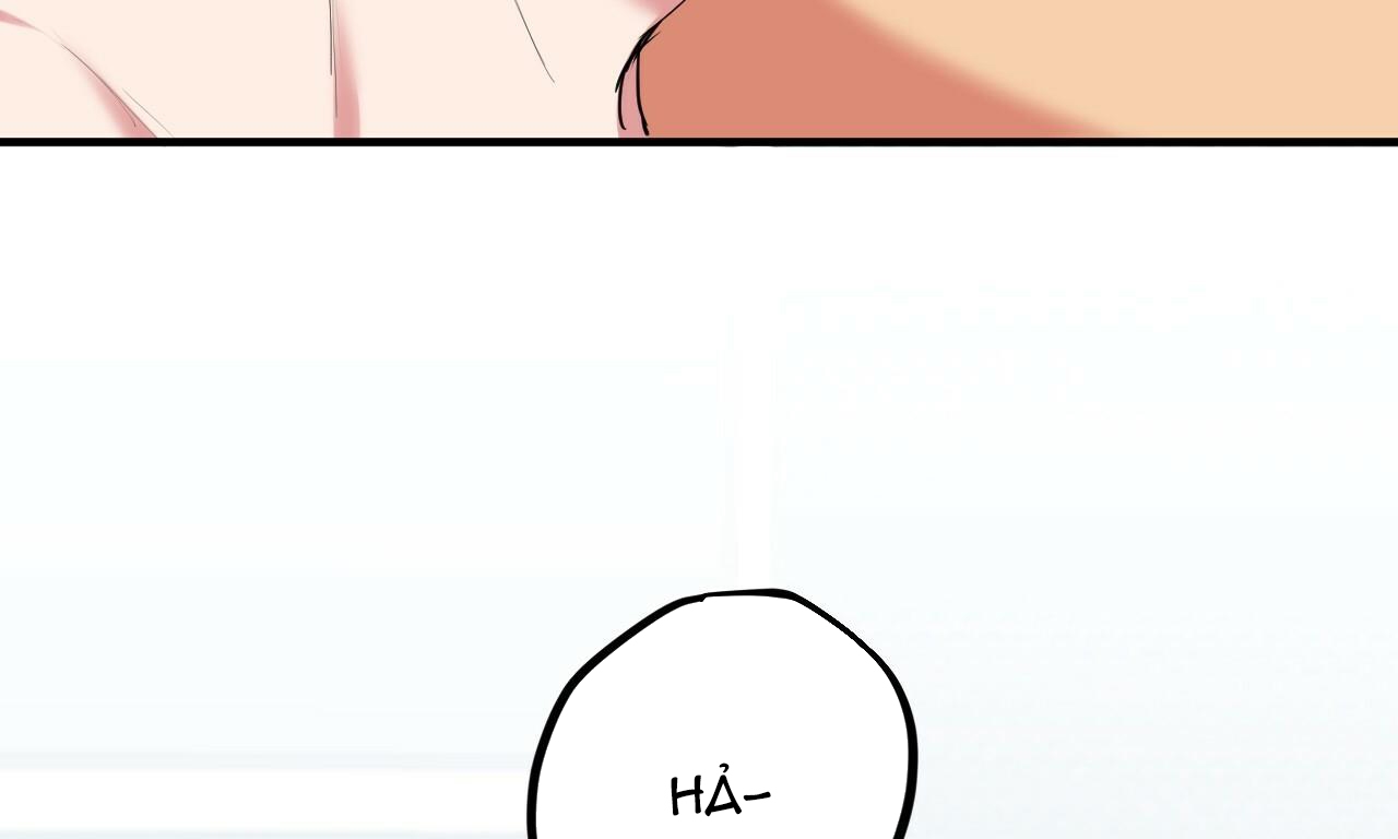 đàn thỏ của habibi chapter 38 23