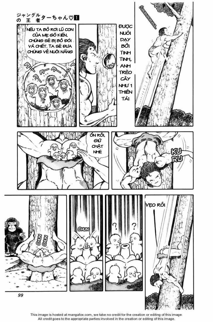 chúa rừng ta-chan chapter 13 4