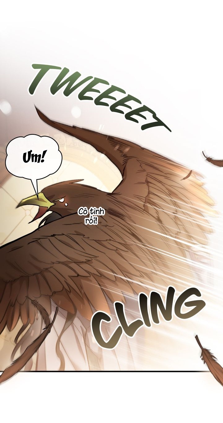 cái bóng trong đêm chapter 34 34