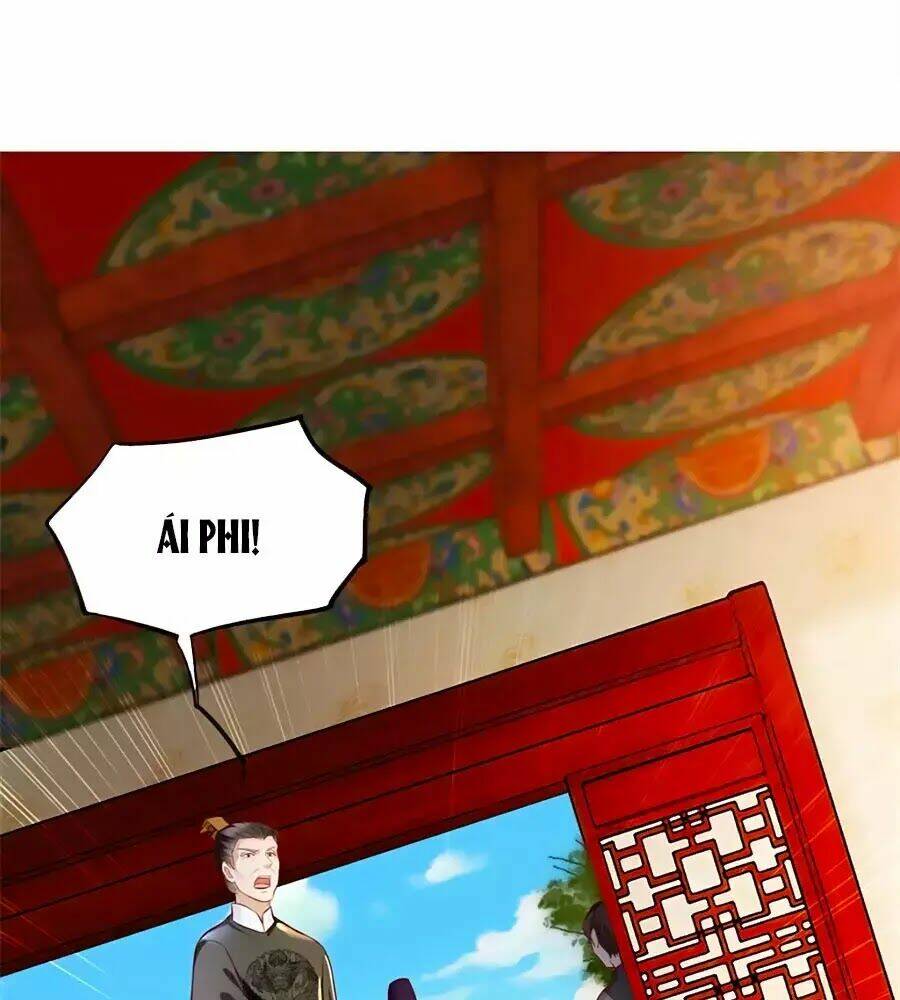 gian phi như thử đa kiều chapter 25 27