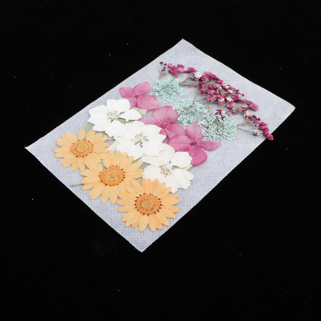 1 Bag Of Real Dried Pressed Flowers Leaves Assorted Colors for Making Greeting Card and Crafts, 2 - 3cm