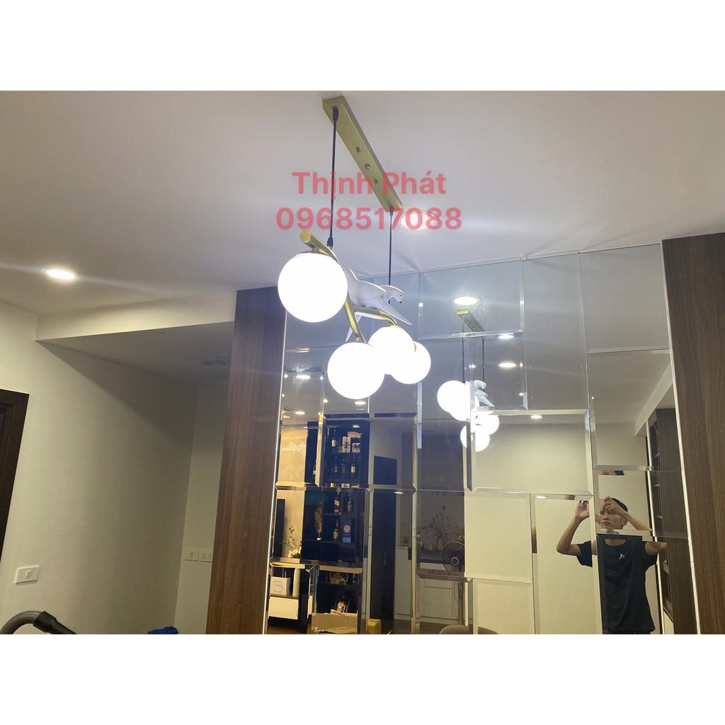 ĐÈN THẢ CHON CHIM TRÊN CÀNH